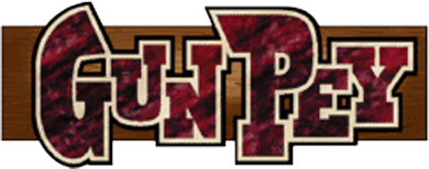 Gunpey logo for WonderSwan